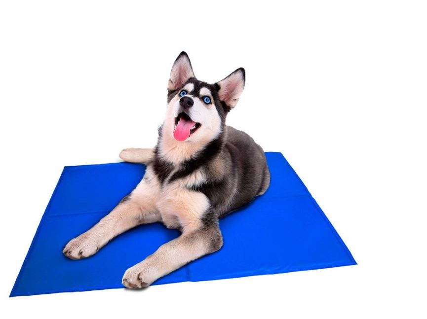 Petsjoy360 Pet Dog Large Size Cooling Gel Mat Non-Toxic Summer Cool Pad Pet Bed For Dog Cat Puppy