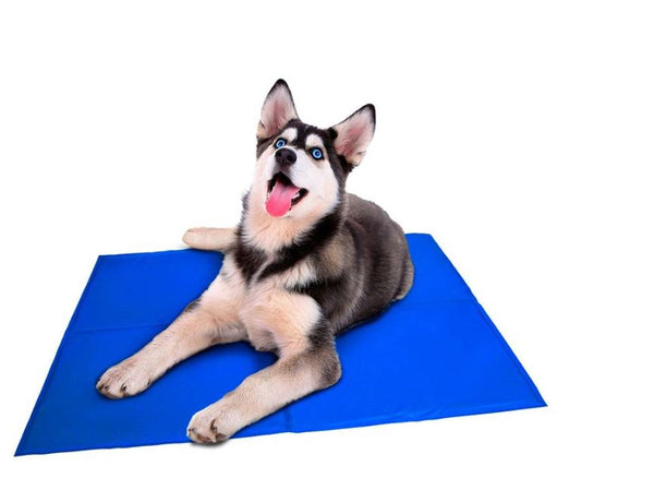 Petsjoy360 Pet Dog Cooling Gel Mat Non Toxic Cool Pad Summer Bed CyberMall