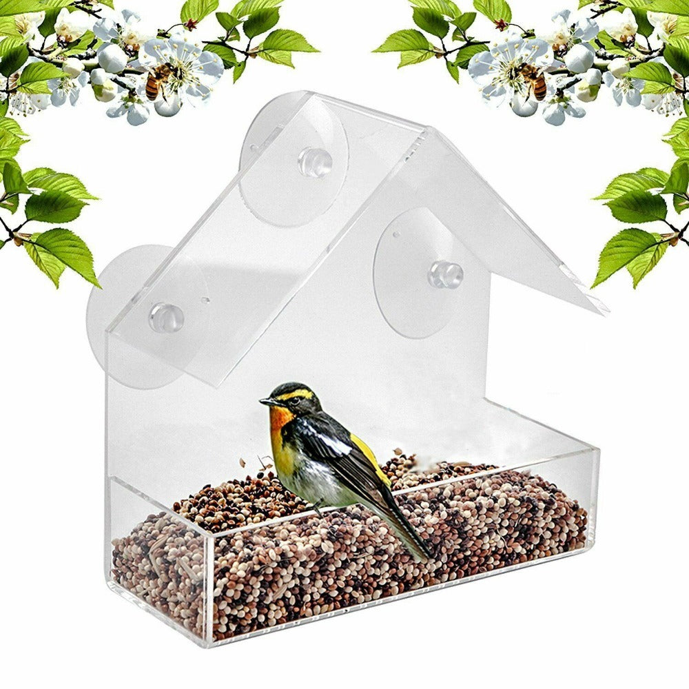 clear view window bird feeder with seeds feed and a bird