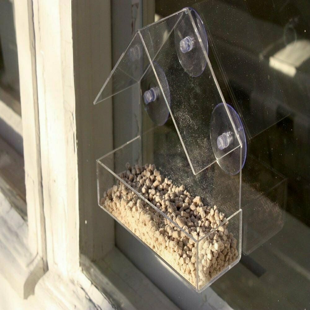 view of feed in an affixed bird feeder on window glass