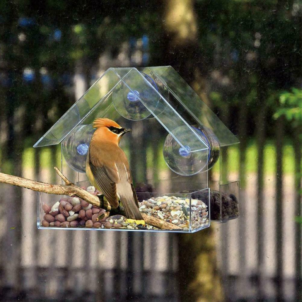 woodpecker with peanuts and seeds in clear view perspex bird feeder